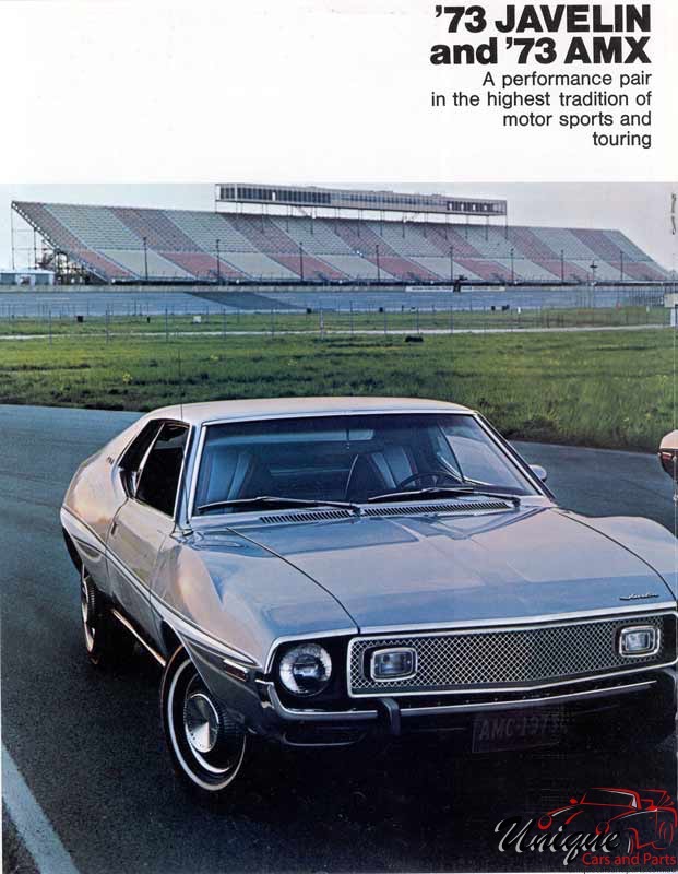 1973 American Motors Brochure Page 10